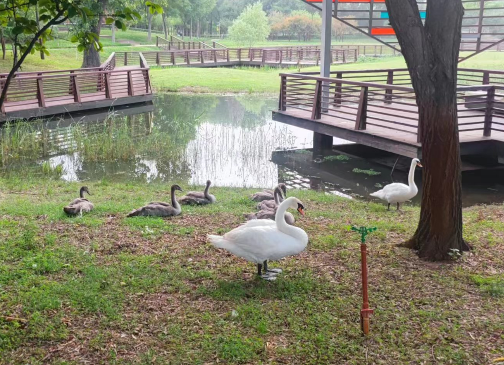 小游北龙湖